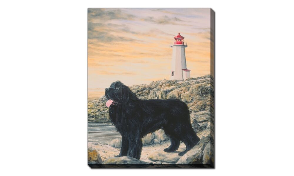 Storm NL Dog (DDR2379-2228)