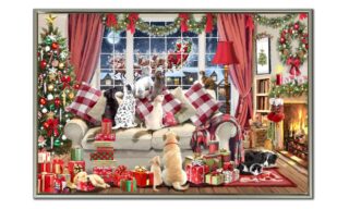 Paws and Presents (WGBX25158)