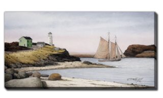 Safe Harbour (DDR2346-3060)