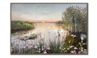 Marshlands Sunset (SUN24140)