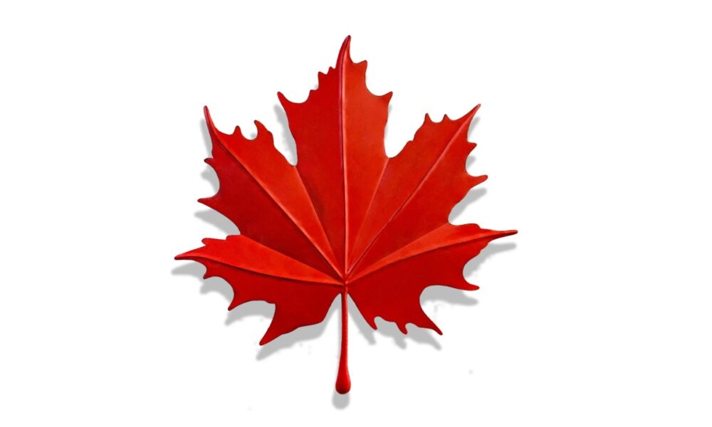 Fall Med Maple Leaf (ACT99034)