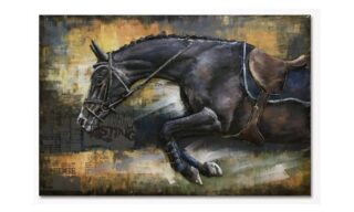 Jumping Stallion - SDC98511
