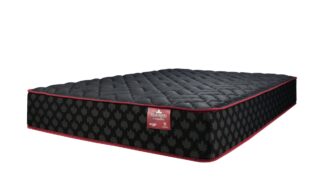 Springwall True North Champlain 25 Mattress & Boxspring Set