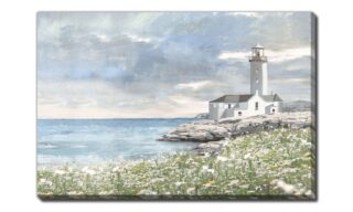 Lighthouse Shoreline (D4320-3045)