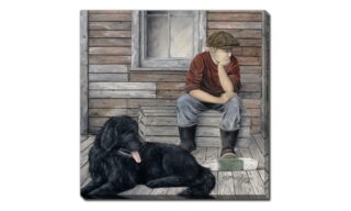 Day Dreamers (DDR2360-2424)