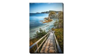 Stairs Beach Shoreline (DMG2668-3045)