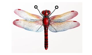 Red Dragonfly Wall Decor - QQX68090