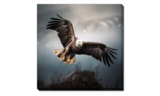 Wildlife Wonder Eagle (D4013-3030)