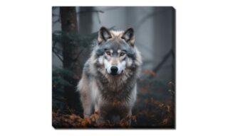 Wildlife Wonder Wolf (D4015-3030)