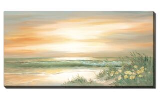 Daisies in the Dunes (D4286-3060)