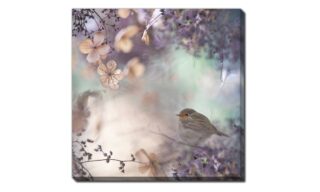 Hydrangea Fantasy (D4525-3030)