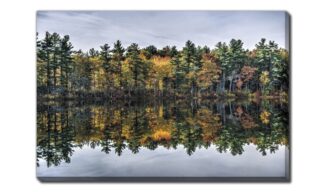 Fall Reflections (D4574-3045)