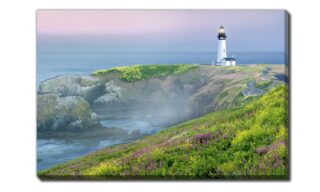 Lighthouse Coast (D4591-3045)