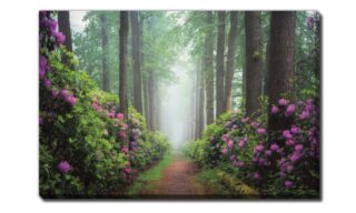 Pop of Pink (D4632-3045)