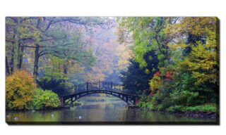 Bridge in Autumn Park (D4835-3060)