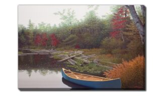 Autumn (DJH2401-3045)