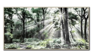 Morning Reverence (SUN25502)