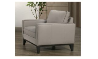 Aaron Leather Chair - Mist Gray