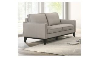 Aaron Leather Loveseat - Mist Gray