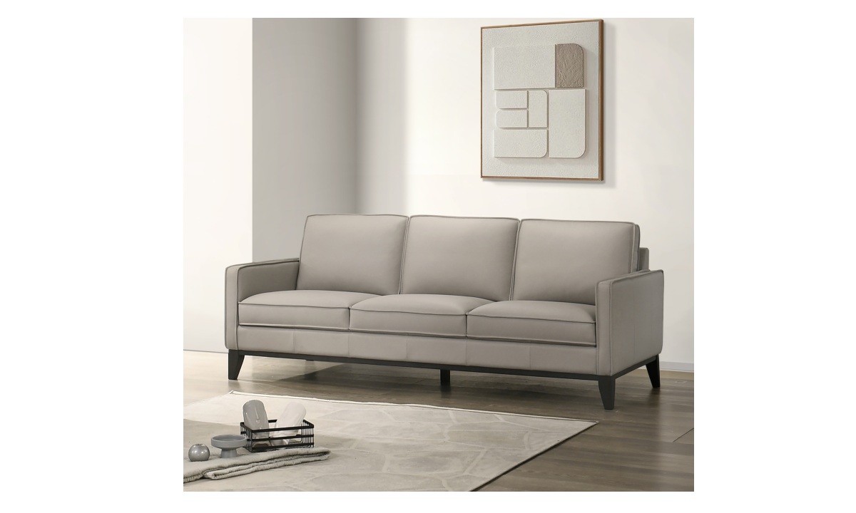 Aaron Leather Sofa - Mist Gray