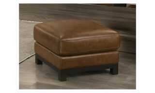 Sayer Leather Chair - Ottoman