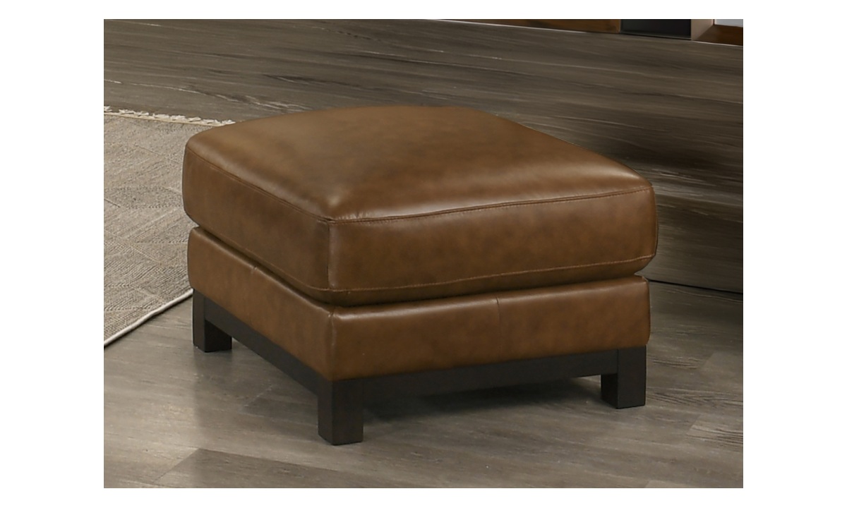 Sayer Leather Chair - Ottoman