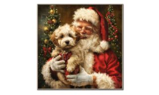 Santa's Best Friend (ARCX26001)