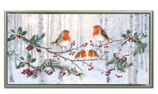 Robins in Winter Forest (WGBX26087)