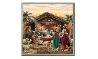 New Nativity (WGBX26099)